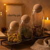 Glass Storage Jars with Cork Lids for Coffee Beans and Food Storage (Set of 3) - Clarify.pk