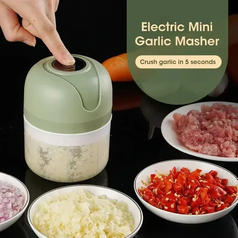 Electric Meat Grinder & Vegetable Chopper – 250ML USB - Clarify.pk