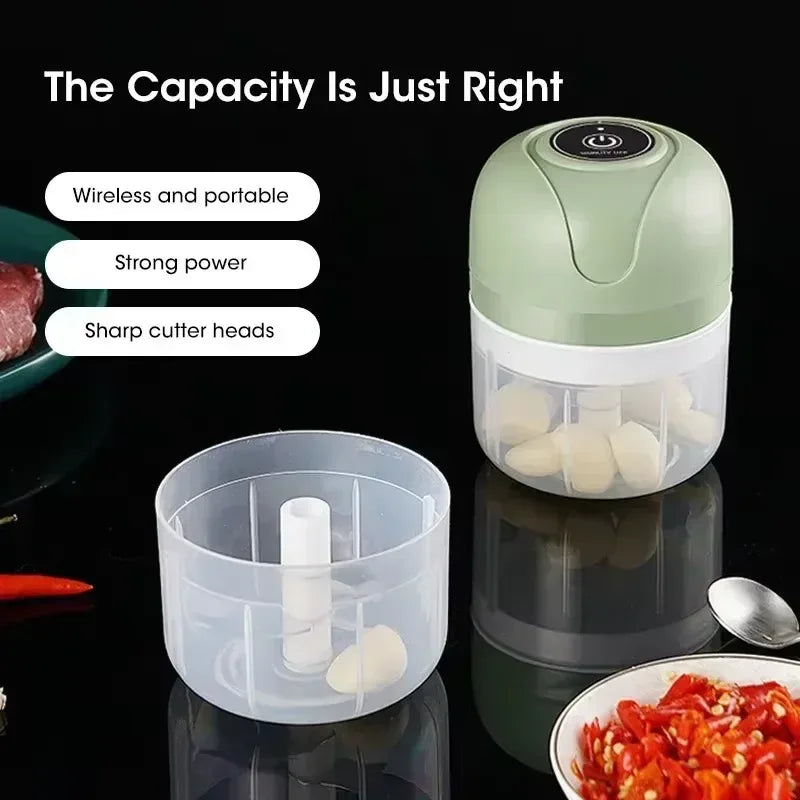 Electric Meat Grinder & Vegetable Chopper – 250ML USB - Clarify.pk